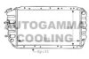 AUTOGAMMA 100972 Radiator, engine cooling